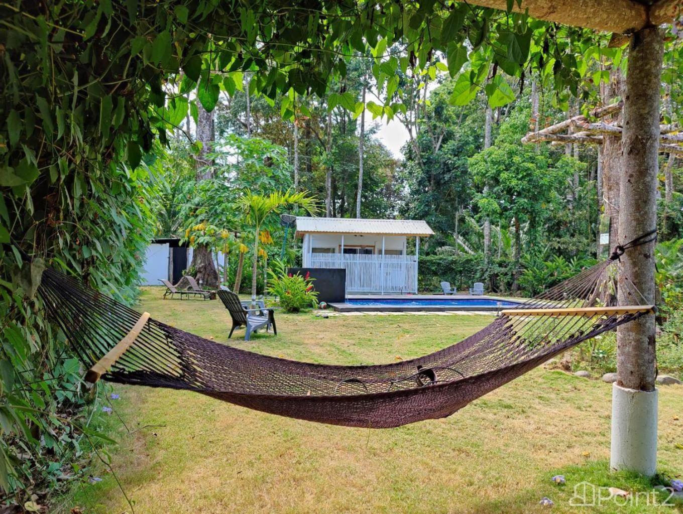 Olivia Del Caribe Suite Puerto Viejo de Talamanca 외부 사진