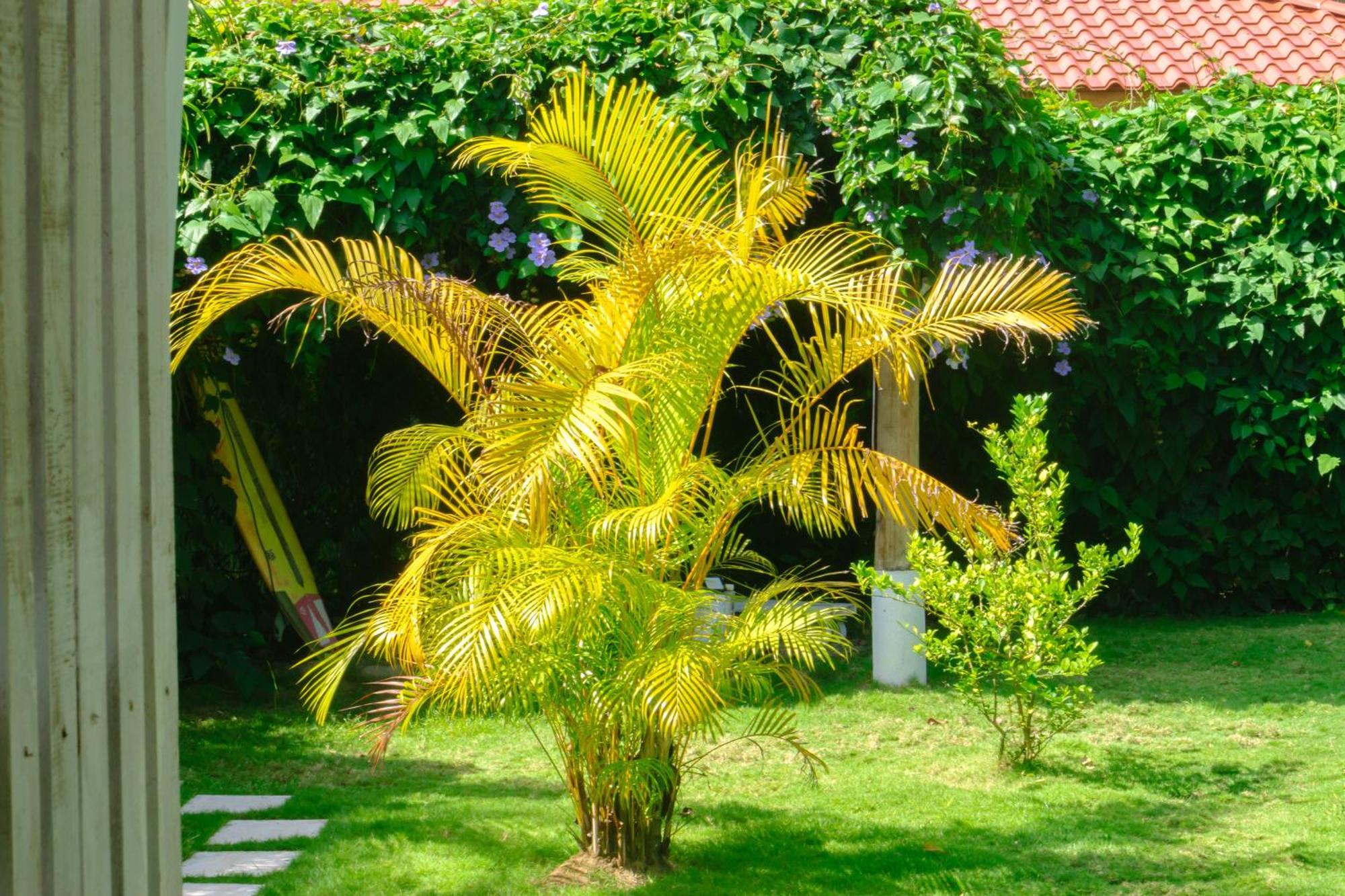 Olivia Del Caribe Suite Puerto Viejo de Talamanca 외부 사진