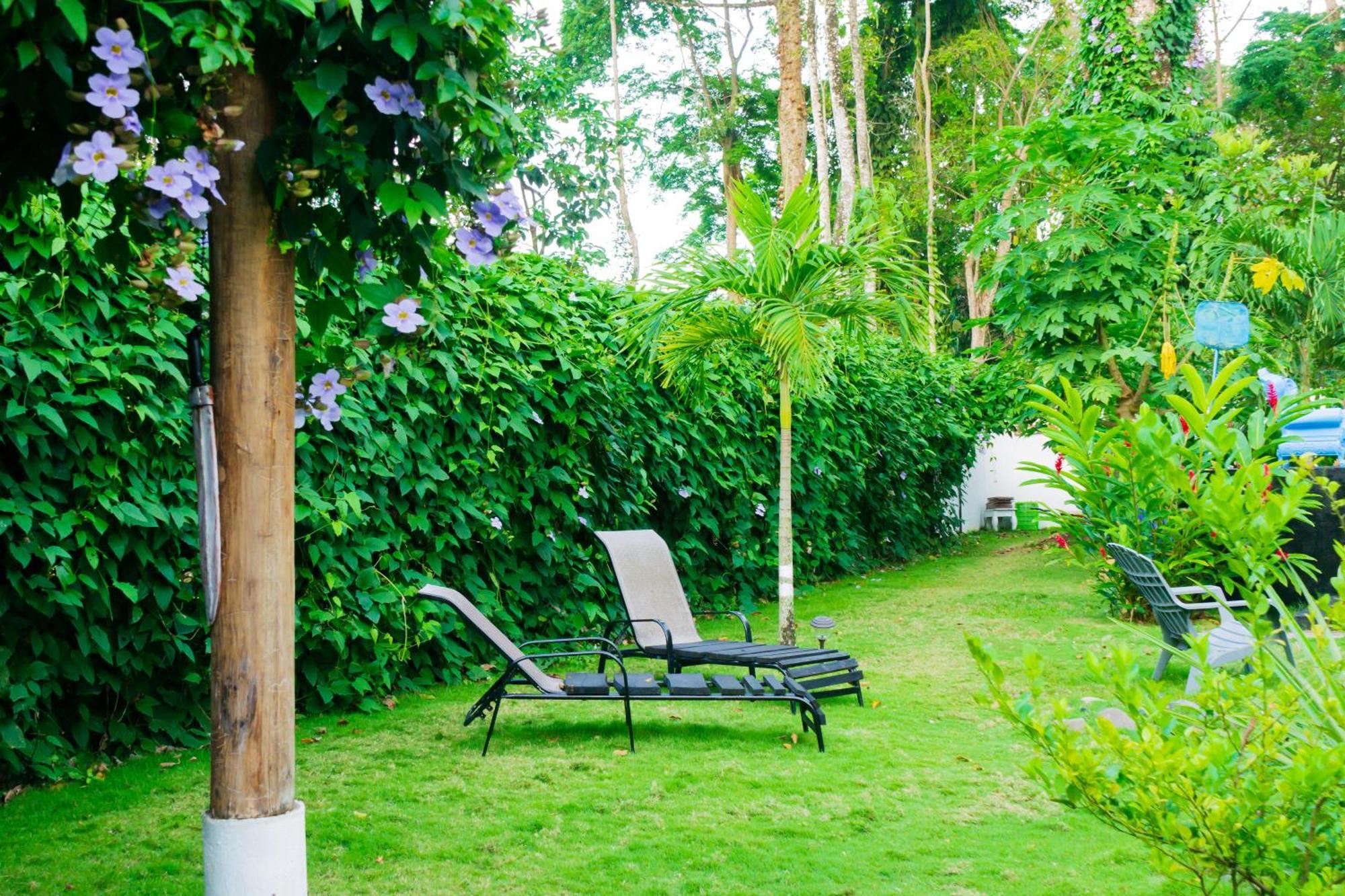 Olivia Del Caribe Suite Puerto Viejo de Talamanca 외부 사진