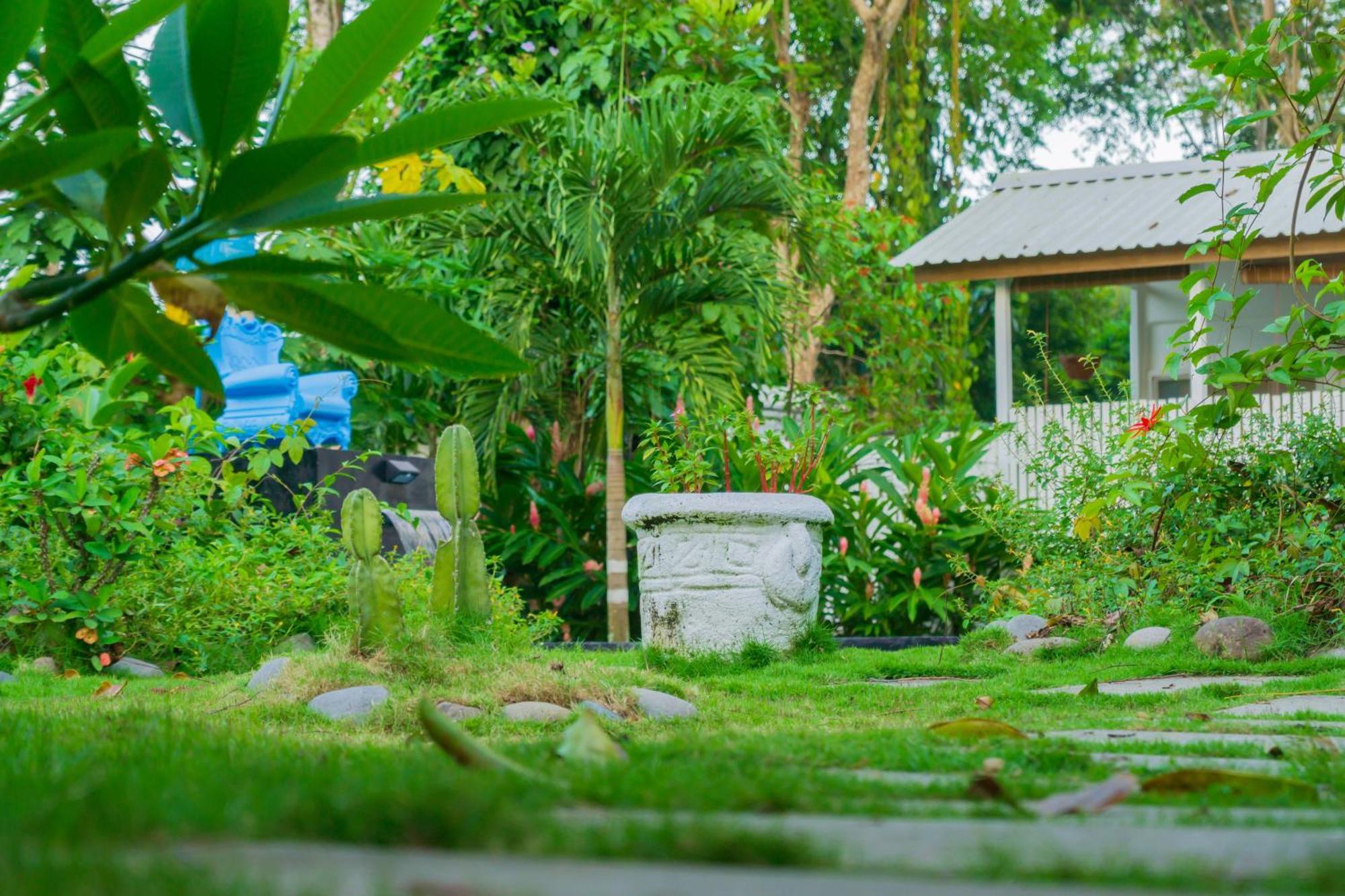Olivia Del Caribe Suite Puerto Viejo de Talamanca 외부 사진