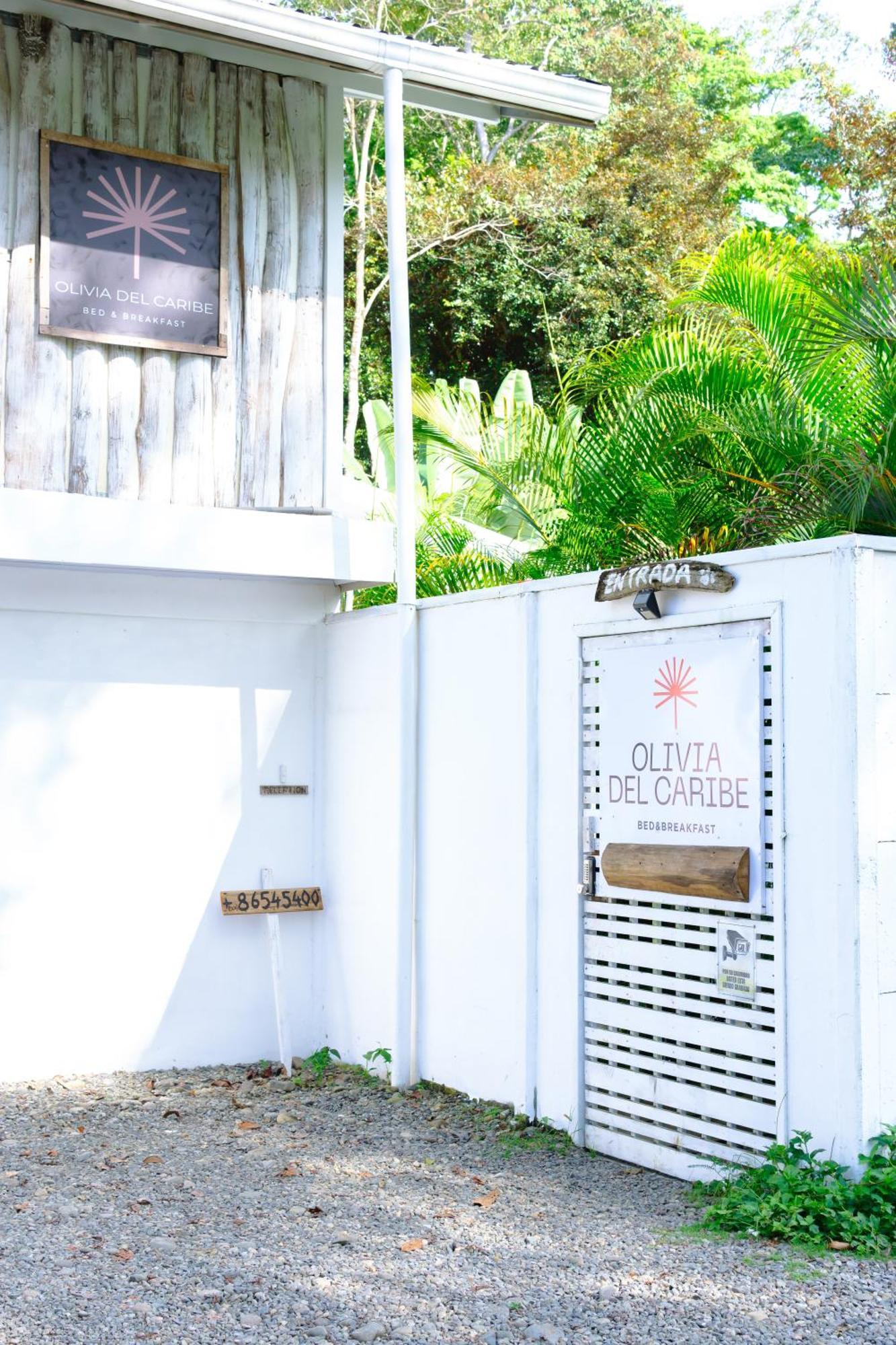 Olivia Del Caribe Suite Puerto Viejo de Talamanca 외부 사진