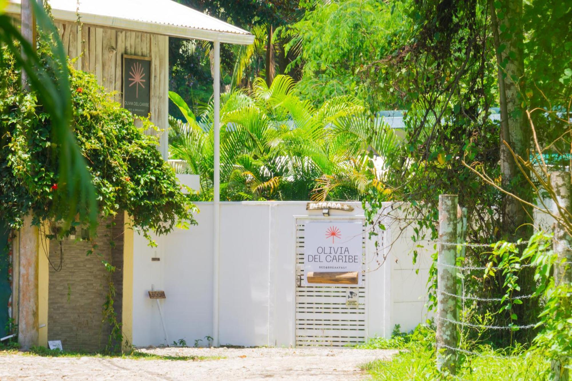 Olivia Del Caribe Suite Puerto Viejo de Talamanca 외부 사진